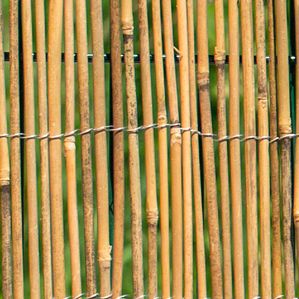 Sichtschutz Taipei Bambus - Naturfarben, Basics, Naturmaterialien (300/100cm)