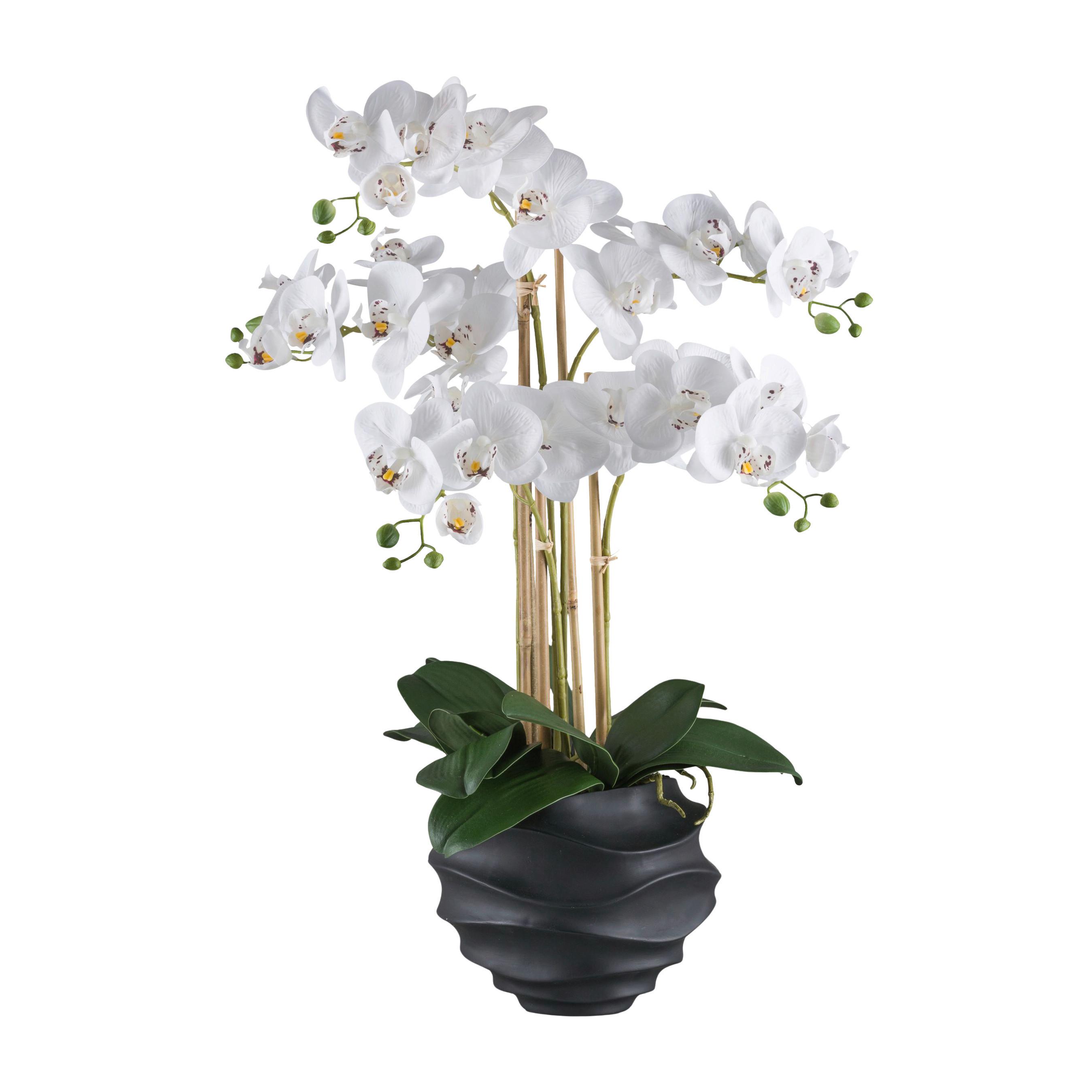 Kunstpflanze Orchideen Grün/weiß/schwarz, 70 Cm - Schwarz/Weiß, Design, Kunststoff (70cm) - P & B
