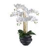 Kunstpflanze Orchideen Grün/weiß/schwarz, 70 Cm - Schwarz/Weiß, Design, Kunststoff (70cm) - P & B