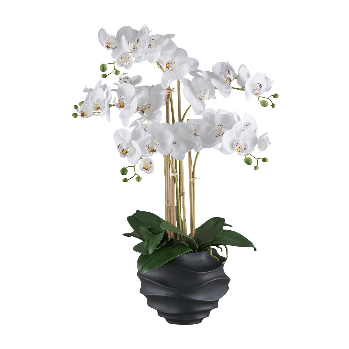 Kunstpflanze Orchideen Grün/weiß/schwarz, 70 Cm - Schwarz/Weiß, Design, Kunststoff (70cm) - P & B