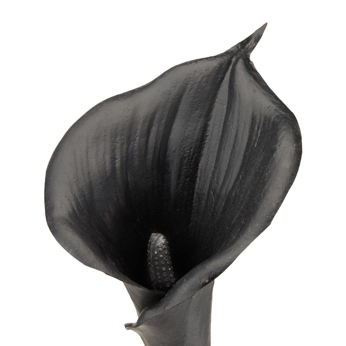Calla Sia H: Ca. 68cm, Schwarz - Silberfarben/Goldfarben, MODERN, Kunststoff (68cm)