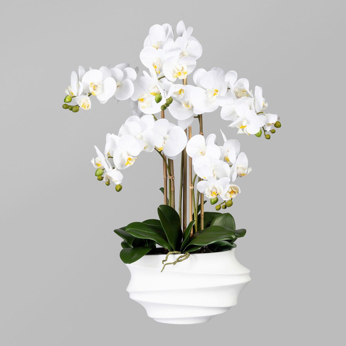 Kunstpflanze Orchidee Weiß H: 75 cm mit Topf - Weiß/Braun, Trend, Kunststoff (75cm)