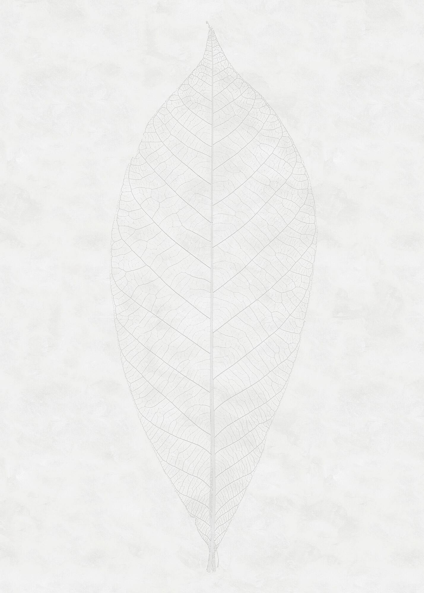 Fototapete 200/280 cm Abstraktes 
