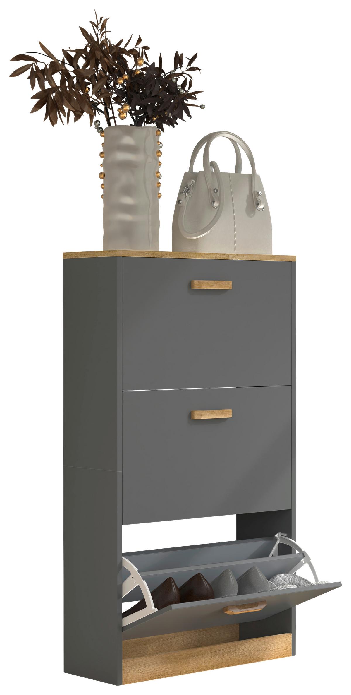 Schuhschrank Halom Anthrazit/honigeiche - Honigeiche/Anthrazit, LIFESTYLE, Holzwerkstoff (59/105/22cm) - MID.YOU