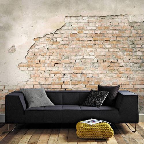 Fototapete 101877 - Braun, Basics, Papier/Kunststoff (300/300cm)
