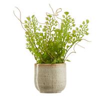 Obal na kvetináč Mood, Ø/V: 6,5/6,5cm - béžová, keramika (6,5/6,5cm) - Modern Living