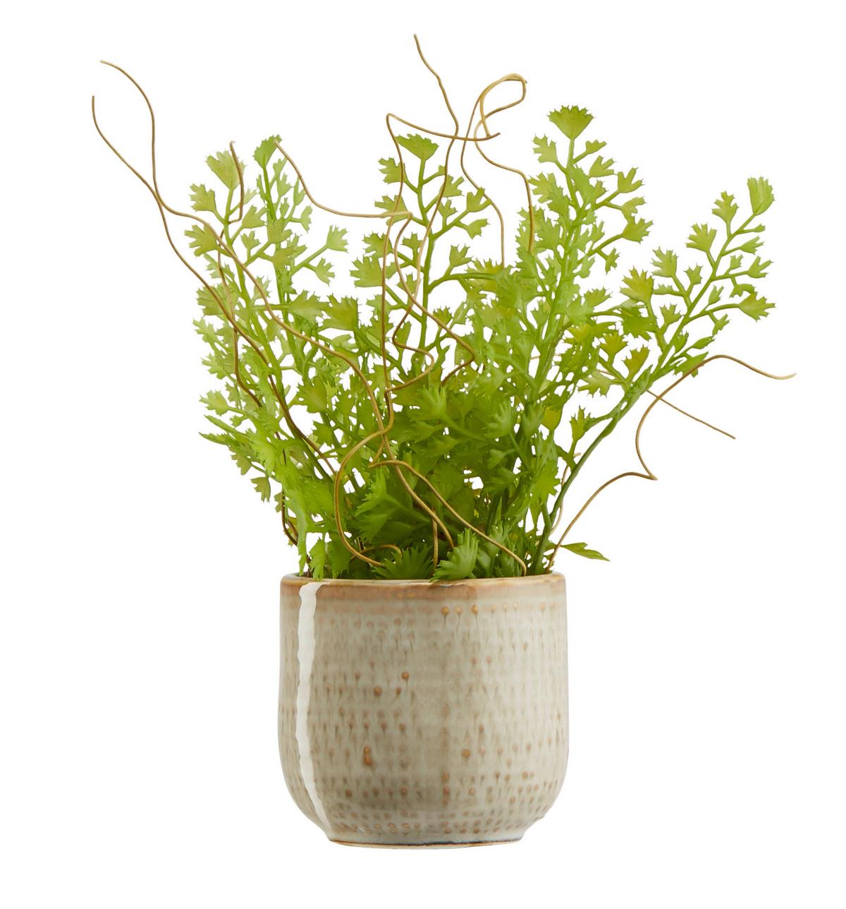 Obal na kvetináč Mood, Ø/V: 6,5/6,5cm - béžová, keramika (6,5/6,5cm) - Modern Living