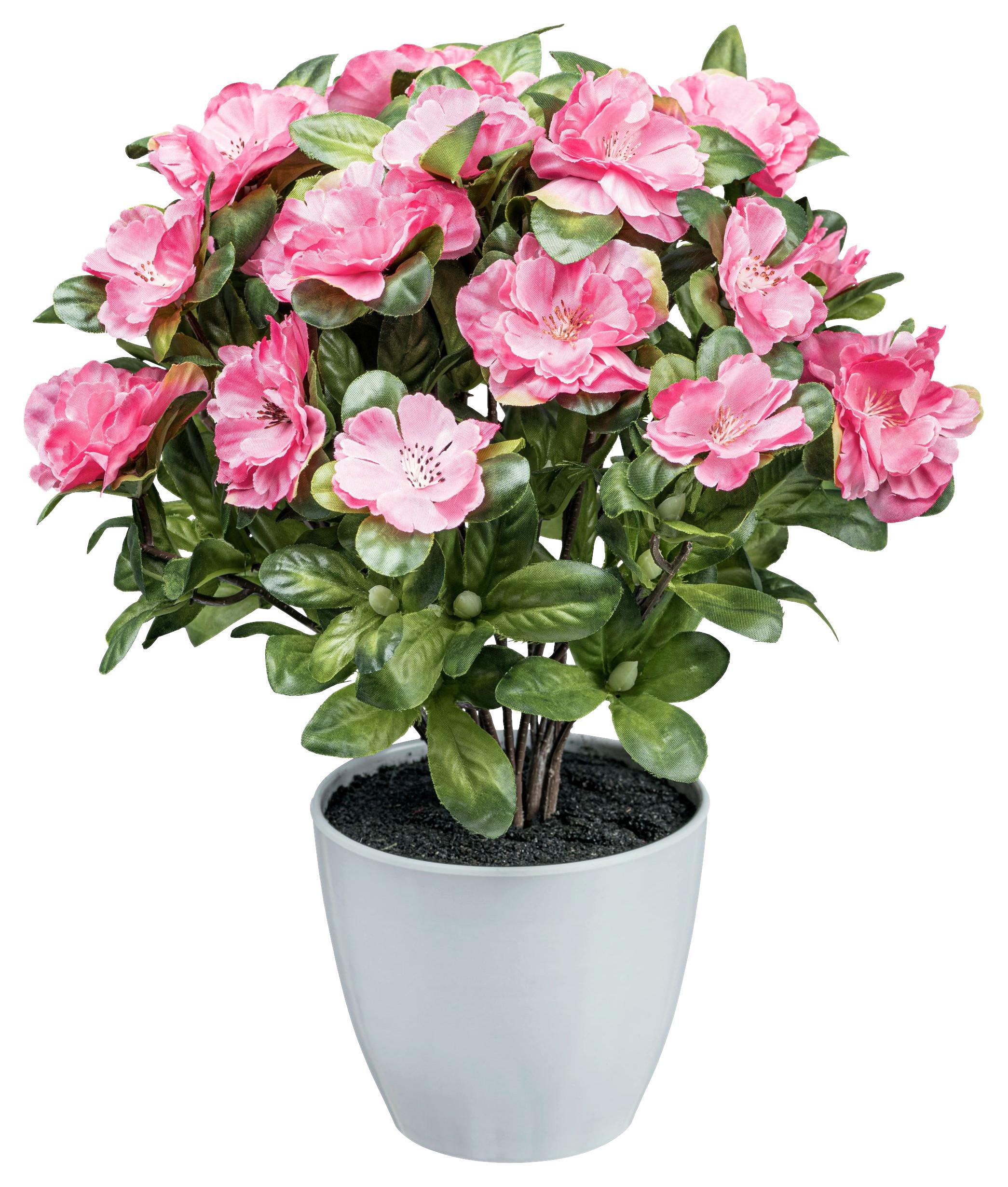 Kunstpflanze Blühpflanzen Dunkelrosa/Grün/Weiß, 32 cm - Dunkelrosa/Weiß, Design, Kunststoff (32cm)