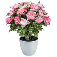 Kunstpflanze Blühpflanzen Dunkelrosa/Grün/Weiß, 32 cm - Dunkelrosa/Weiß, Design, Kunststoff (32cm)