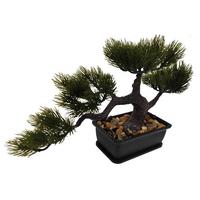 Kunstpflanze Bono - Schwarz/Braun, KONVENTIONELL, Kunststoff (30/8/19cm) - Luca Bessoni