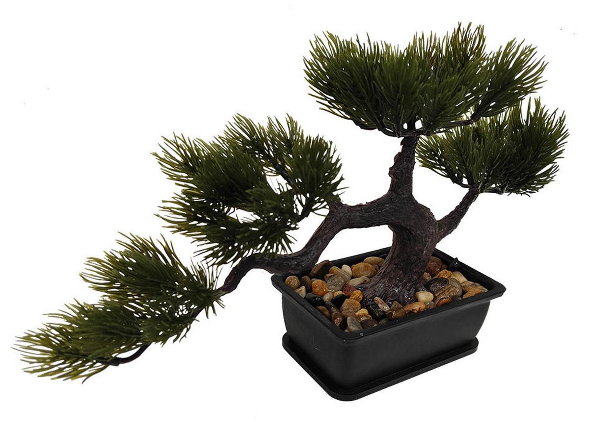 Kunstpflanze Bono - Schwarz/Braun, KONVENTIONELL, Kunststoff (30/8/19cm) - Luca Bessoni