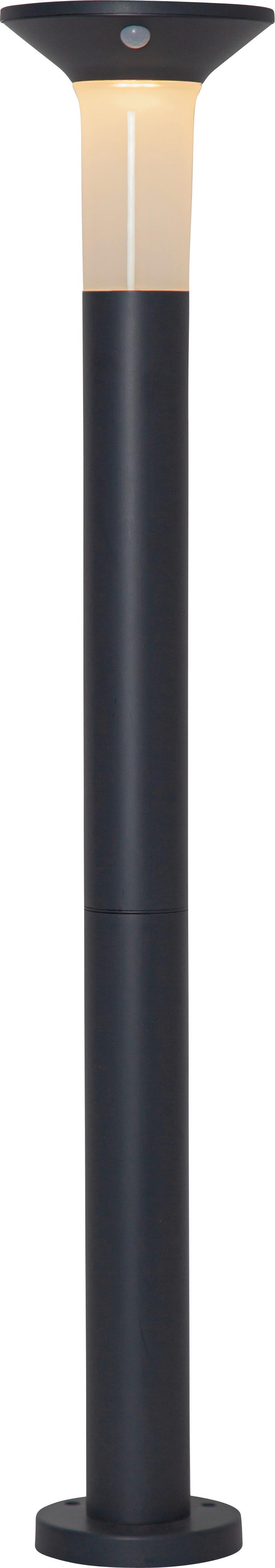 Solarleuchte 900244 Corbezzola - Graphitfarben/Weiß, Basics, Kunststoff (16/90cm) - Eglo