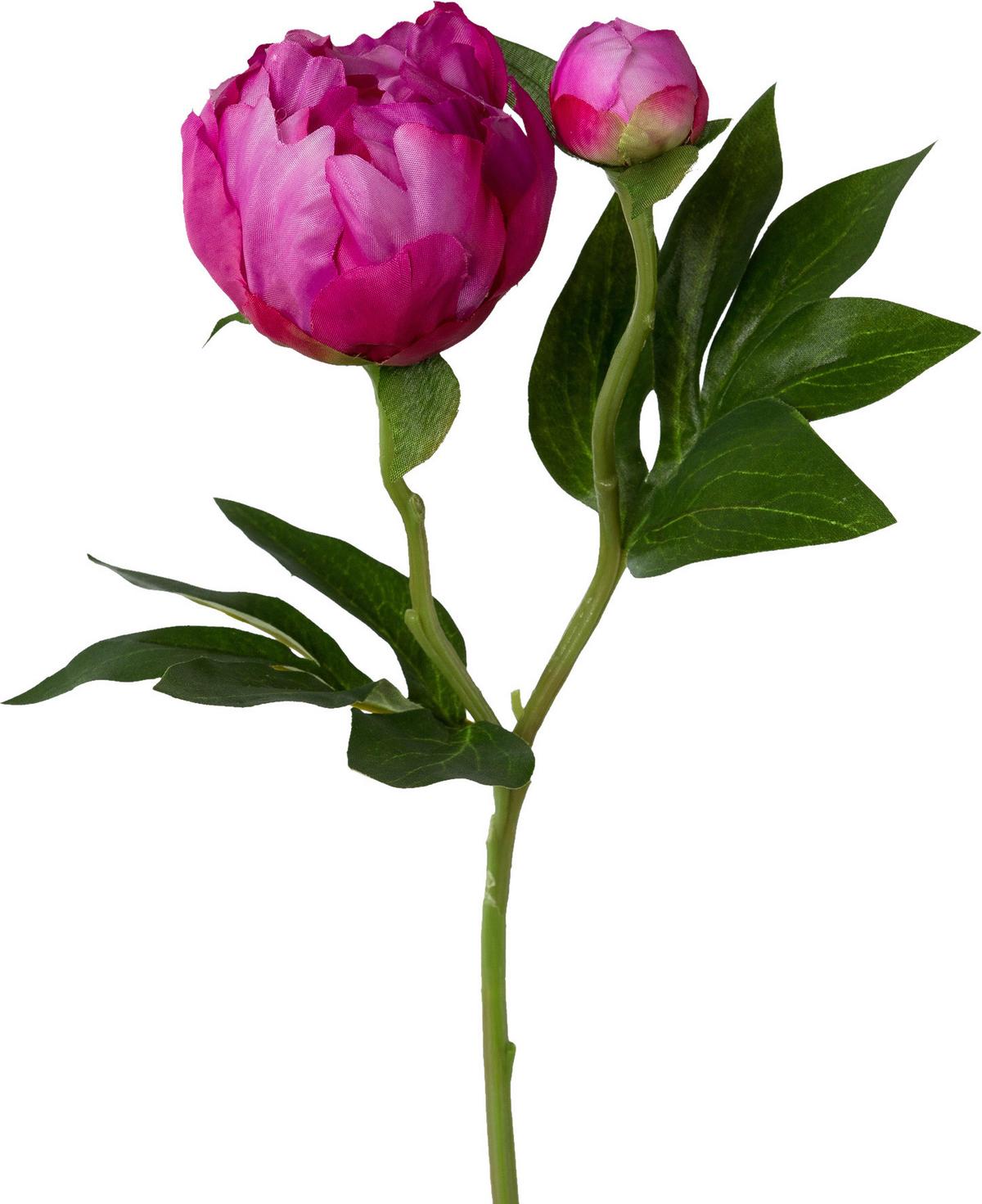 Kunstpflanze Pfingstrose Rosa L: 58 cm, Peonie - Rosa/Grün, Basics, Kunststoff (58cm)