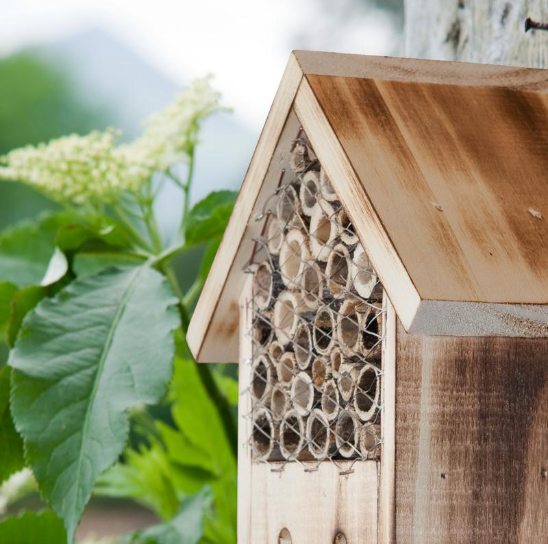 Kleines Insektenhotel aus Holz mit Schilfrohr