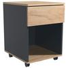 Rollcontainer Anthrazit/ Eiche Dekor Dalrosa 39x55x45cm - Honigeiche/Anthrazit, MODERN, Holzwerkstoff/Kunststoff (39/55/45cm) - MID.YOU