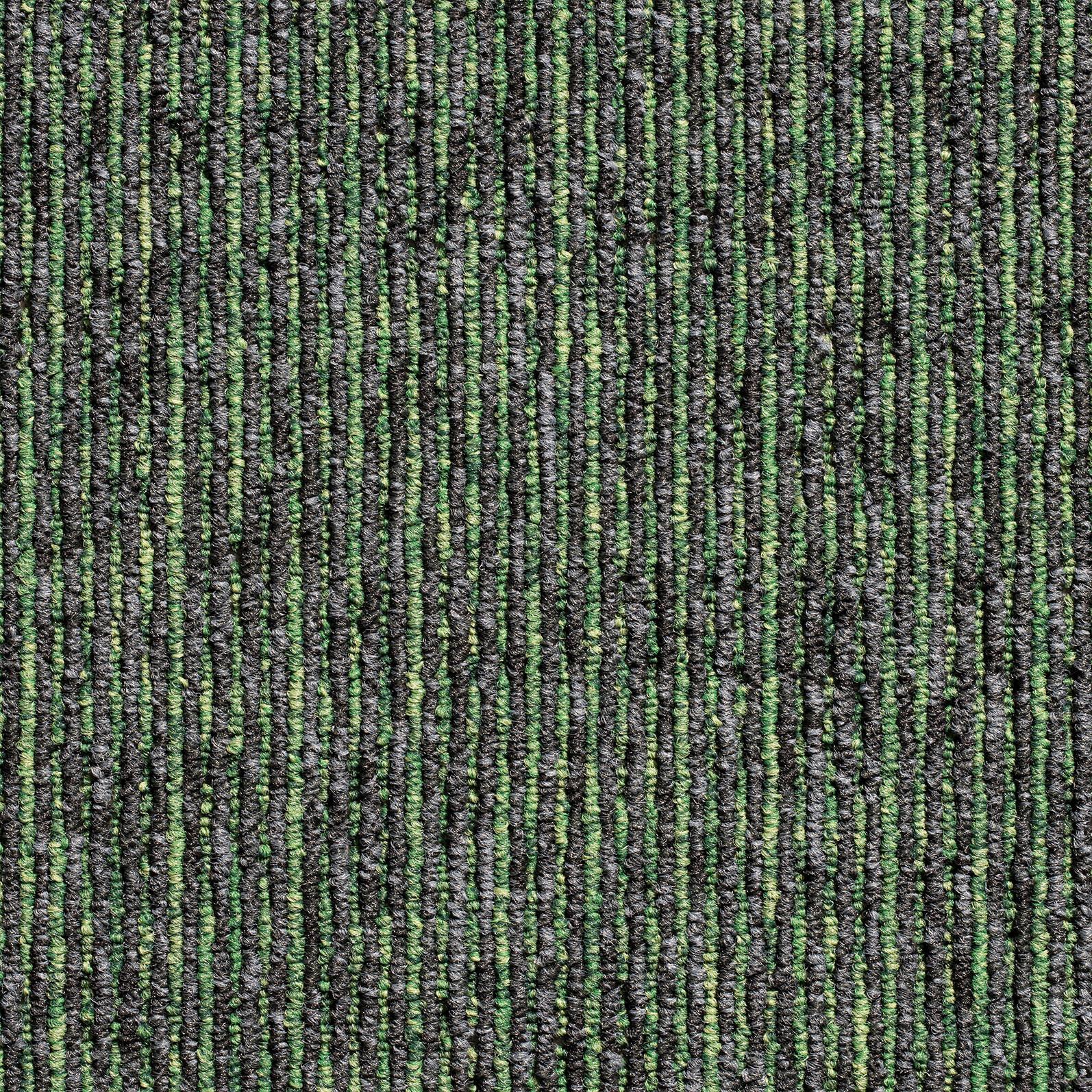 Teppichfliese Grün/grau Ambition 50x50 Cm Florhöhe 3mm - Grau, Basics, Textil (50/50cm)