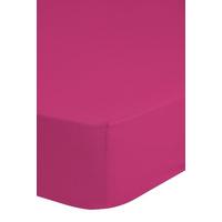 Spannleintuch Jersey Pink 160-180x200 Cm 100% Baumwolle - Pink, Basics, Textil (160-180/200cm) - MID.YOU