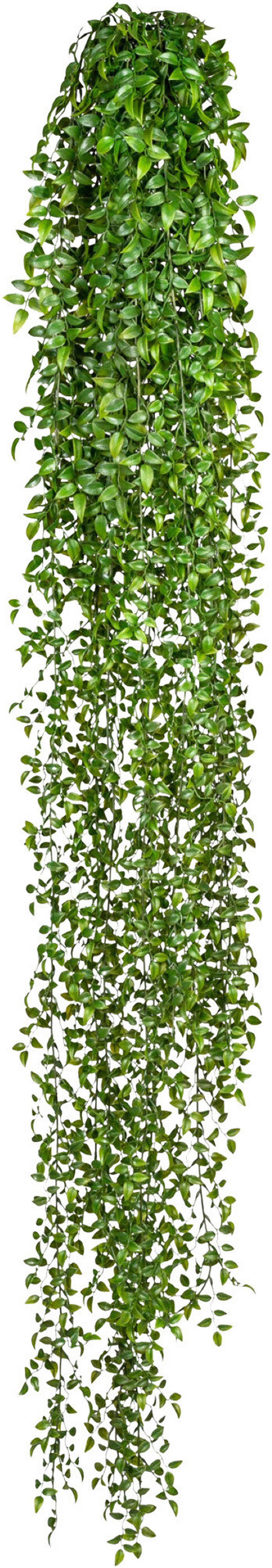 Kunstpflanze Hängepflanzen Grün, 160 cm - Grün, Design, Kunststoff (160cm) - P & B