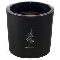 Svíčka ve skle Candle, ca 64 h. - černá, parafín/sklo (12/12cm) - Mömax