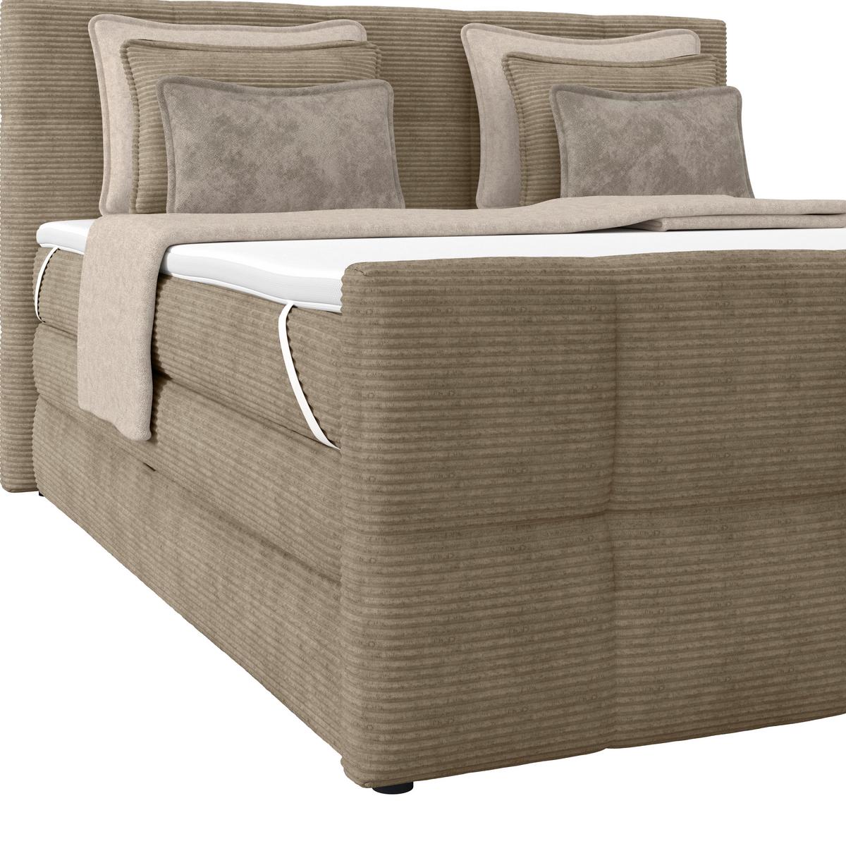 Boxspringbett mit Topper und Bettkasten 160x200 Medino - Schlammfarben, KONVENTIONELL, Holz/Holzwerkstoff (160/200cm)