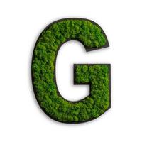 Moosbild Grün B: 35 cm - Schwarz/Grün, Basics, Naturmaterialien/Holz (35/23/5cm)