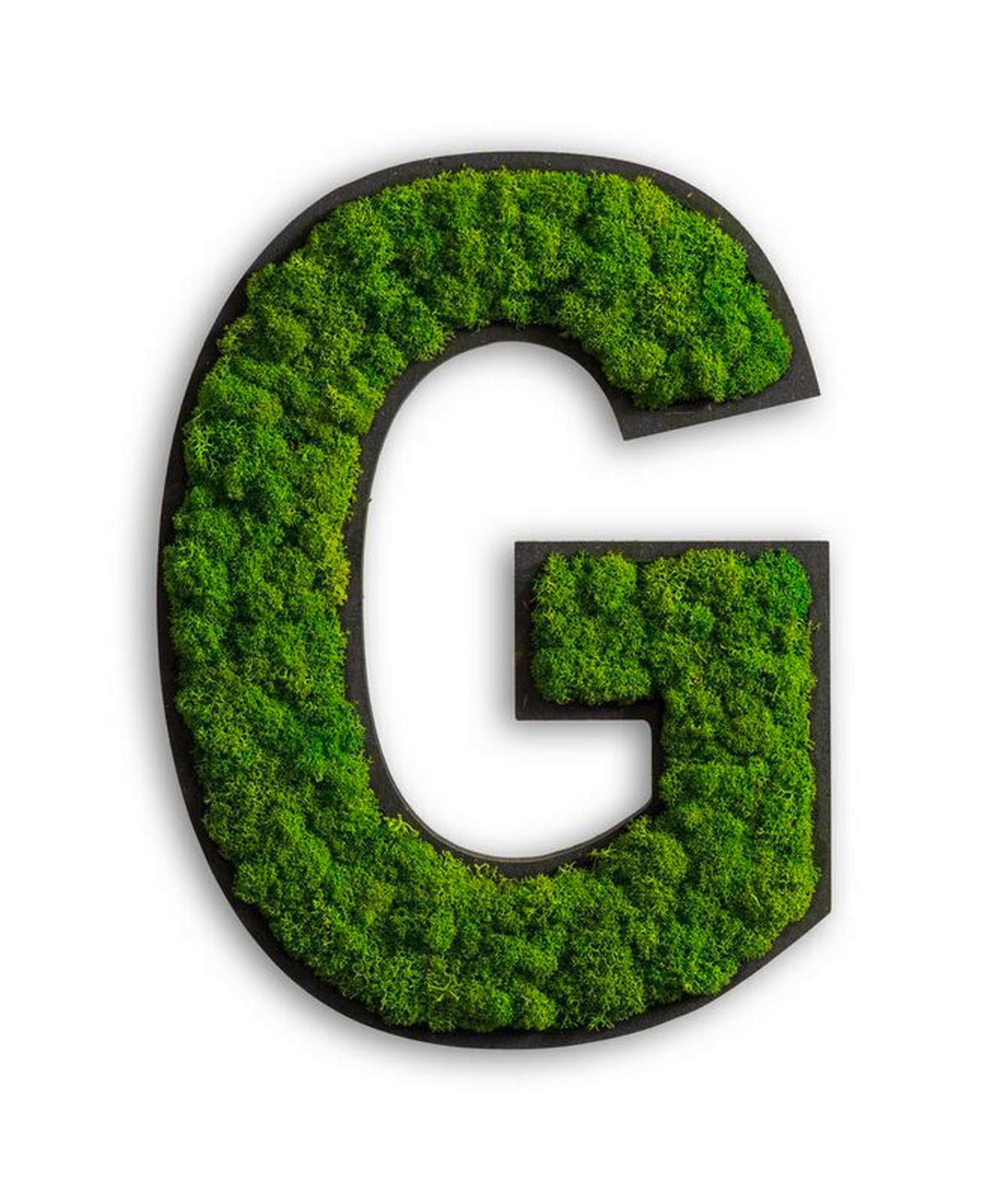 Moosbild Grün B: 35 cm - Schwarz/Grün, Basics, Naturmaterialien/Holz (35/23/5cm)