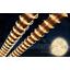 Lichtschlauch 750 cm - Basics, Kunststoff (750cm) Lichtschlauch 750 cm - Basics, Kunststoff (750cm)