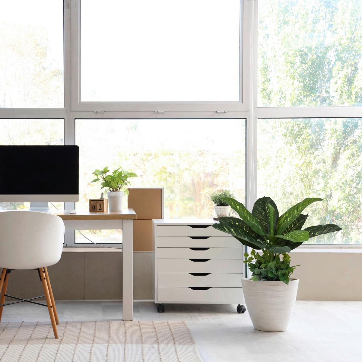 Kunstpflanze Grün/schwarz B: 42 Cm - Schwarz/Grün, MODERN, Kunststoff (42/80/33cm) - MID.YOU