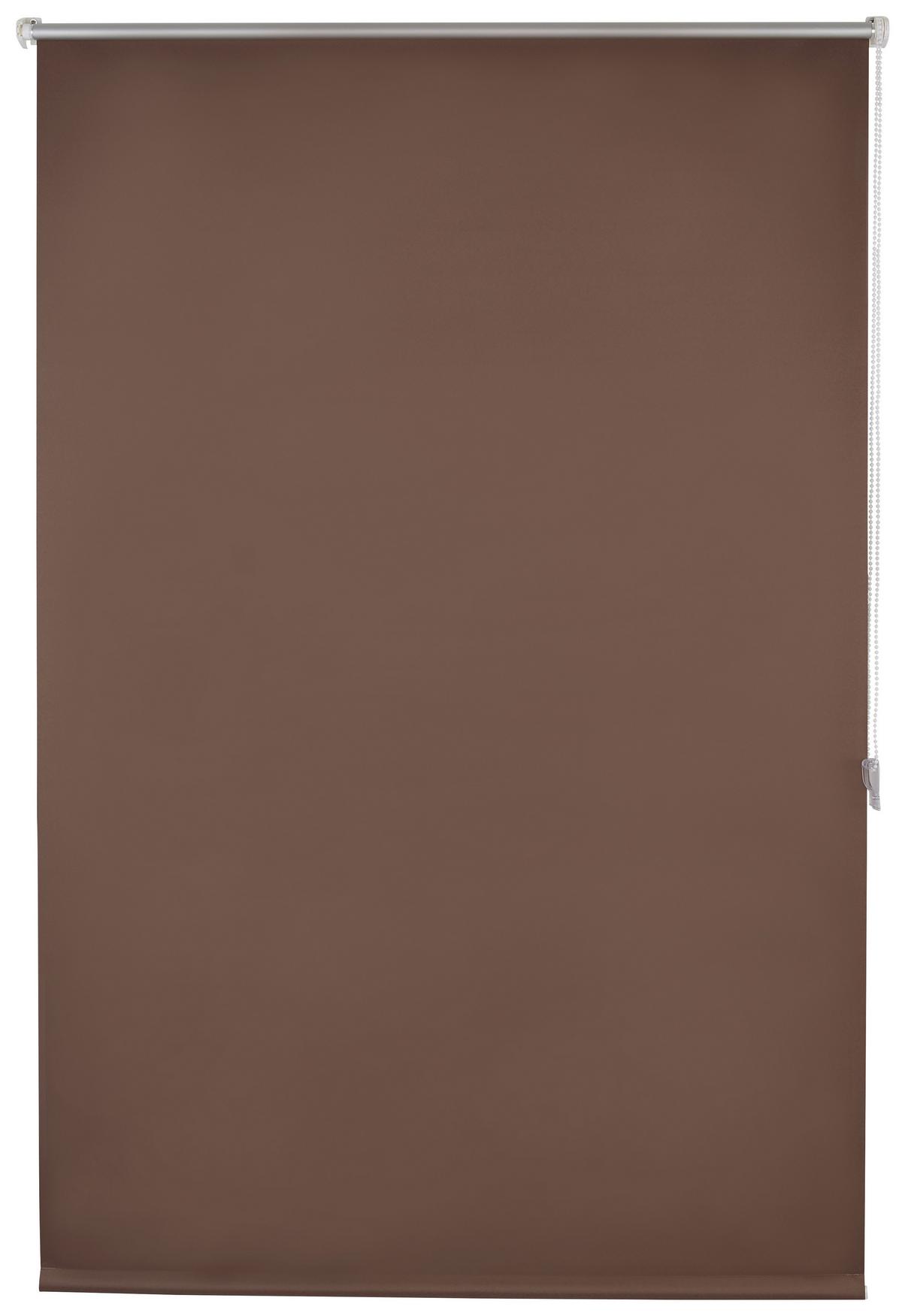 Verdunkelungsrollo Sarah Halbtransparent 100x150 cm - Braun, MODERN, Textil (100/150cm) - Luca Bessoni