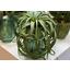 Vase Leaves - Grün, Natur, Glas (18/20cm)