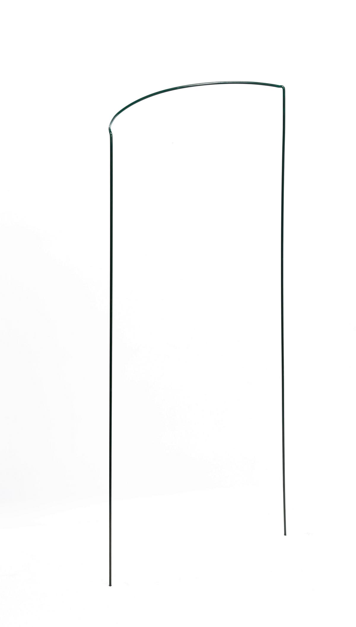 Pflanzstab Erea Metall 100 cm Kunststoffummantelt Grün - Grün, Basics, Kunststoff/Metall (100cm) - Homezone