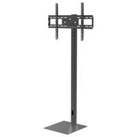 TV- Halterung Coscal Schwarz B: 64 cm - Schwarz, MODERN, Metall (64/124/37,6cm) - MID.YOU