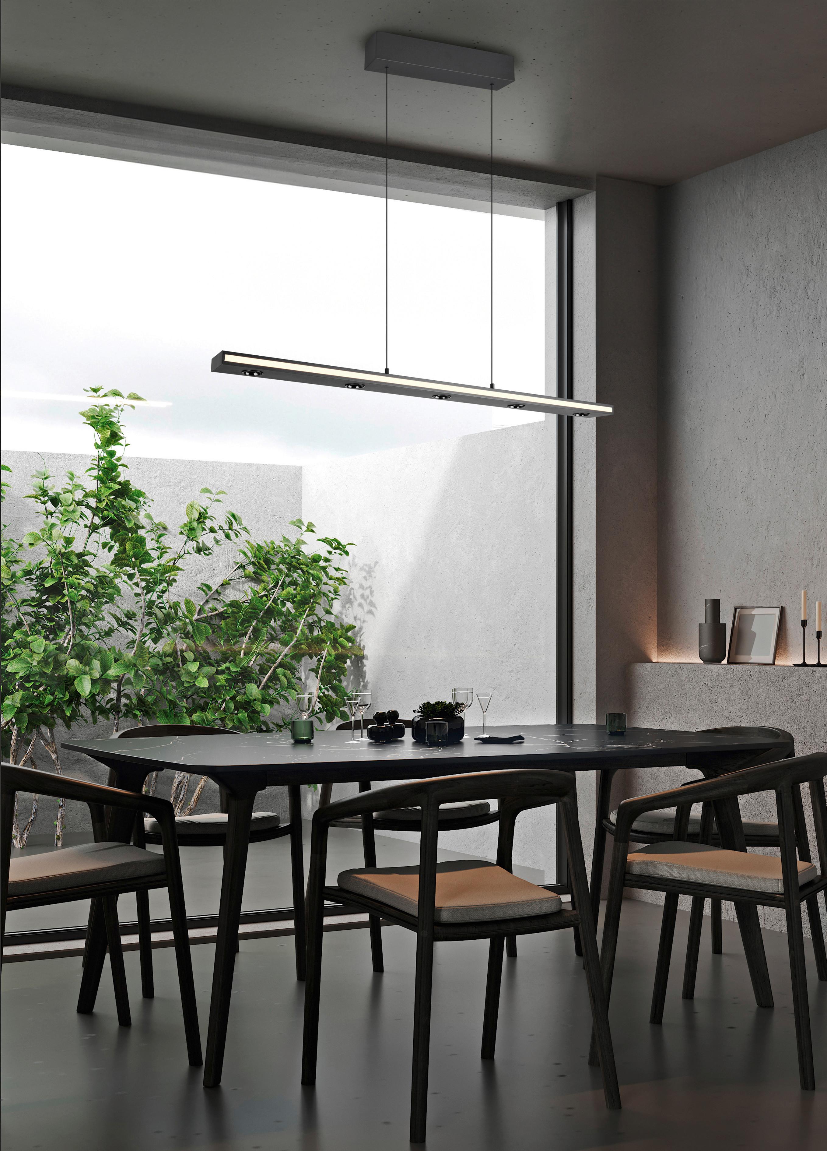 LED-Pendelleuchte 353010132 Graham - Schwarz/Weiß, Design, Kunststoff/Metall (109/9/200cm) - Trio Leuchten