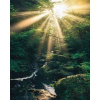 Vliestapete Sh075-Vd2 Divine - Natur (200/250cm)