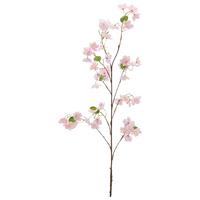 Rozkvitnutá vetvička čerešne Výška 126 cm - zelená/ružová, Basics, kov/textil (126cm) - Mömax