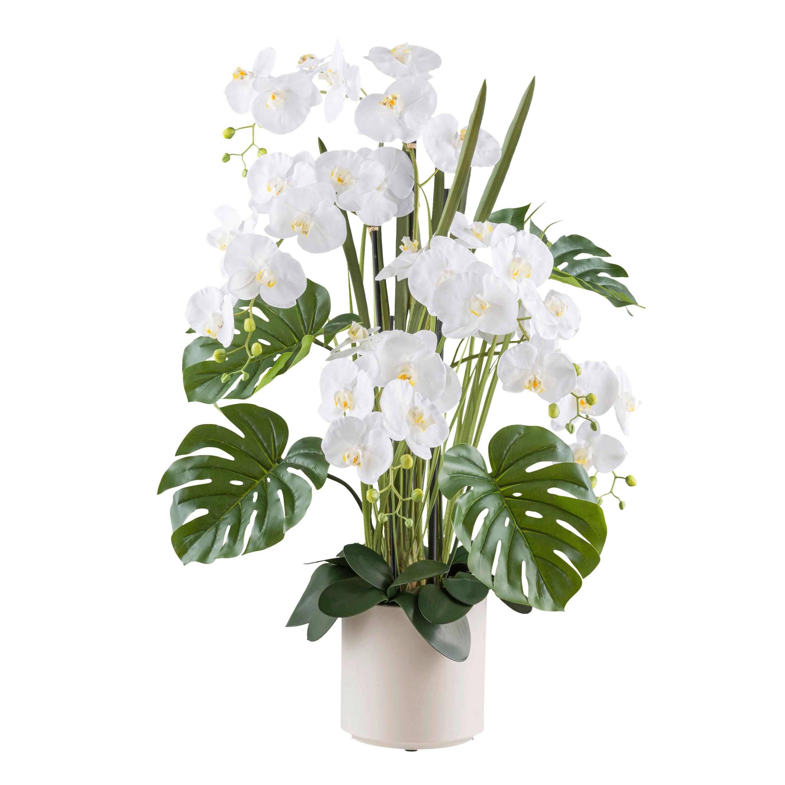 Kunstpflanze Orchideen Creme/Grün/Weiß, 110 cm - Creme/Weiß, Design, Kunststoff (110cm) - P & B