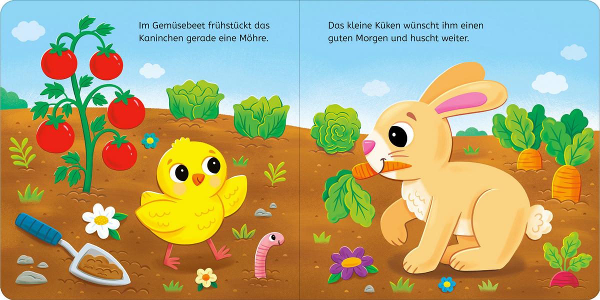 Hallo kleines Küken ab 12 Monaten - Multicolor, LIFESTYLE, Papier (16,0/16,0/1,3cm)