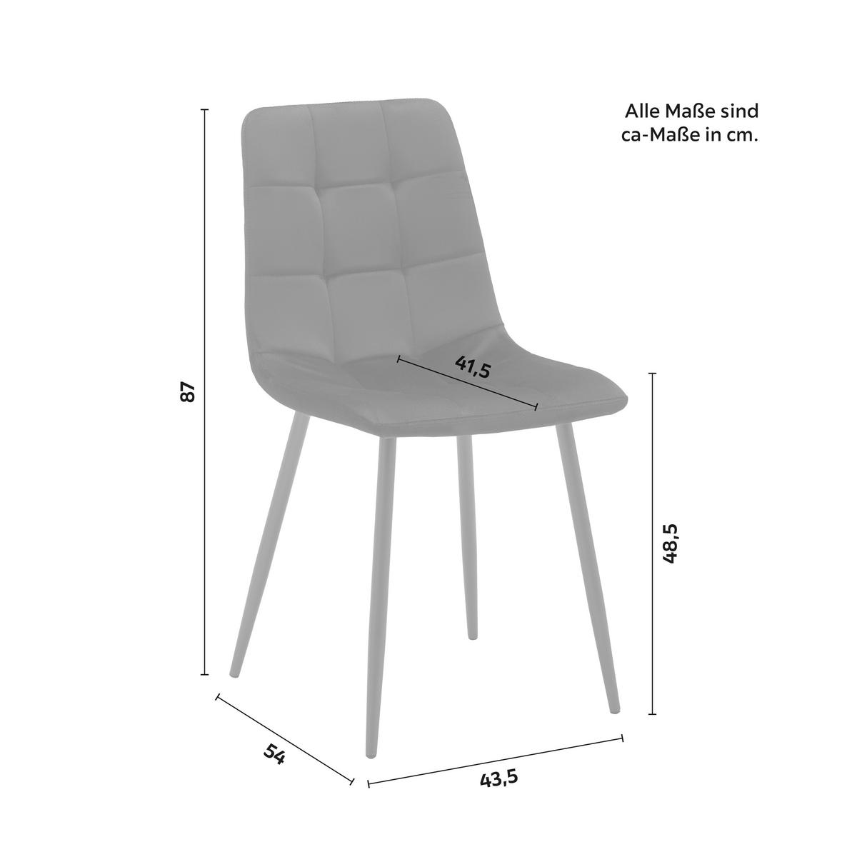 Jídelní židle RIA černá - černá, Moderní, kov/dřevo (43,5/87/54cm) - Bessagi Home