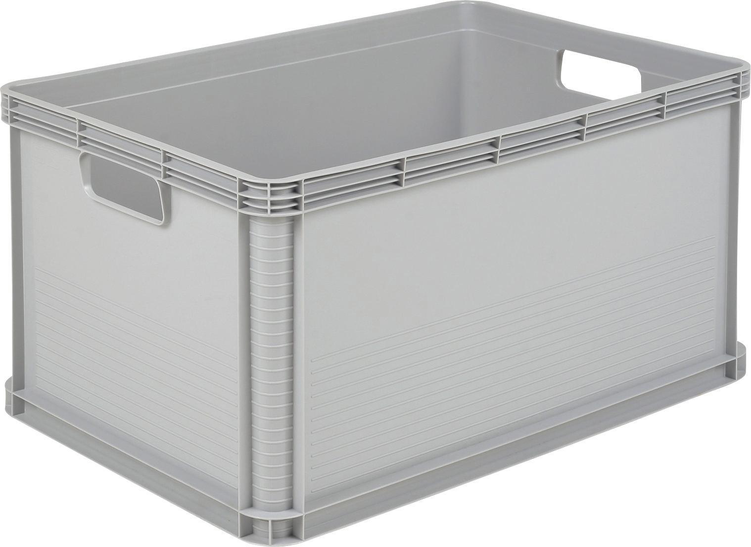 Eurobox Robert - Hellgrau, KONVENTIONELL, Kunststoff (60/40/32cm)