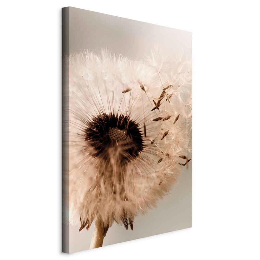 LEINWANDBILD Beige Greige B: 40 - Greige/Beige, Basics, Holzwerkstoff/Textil (40/60/1.2cm) - artgeist