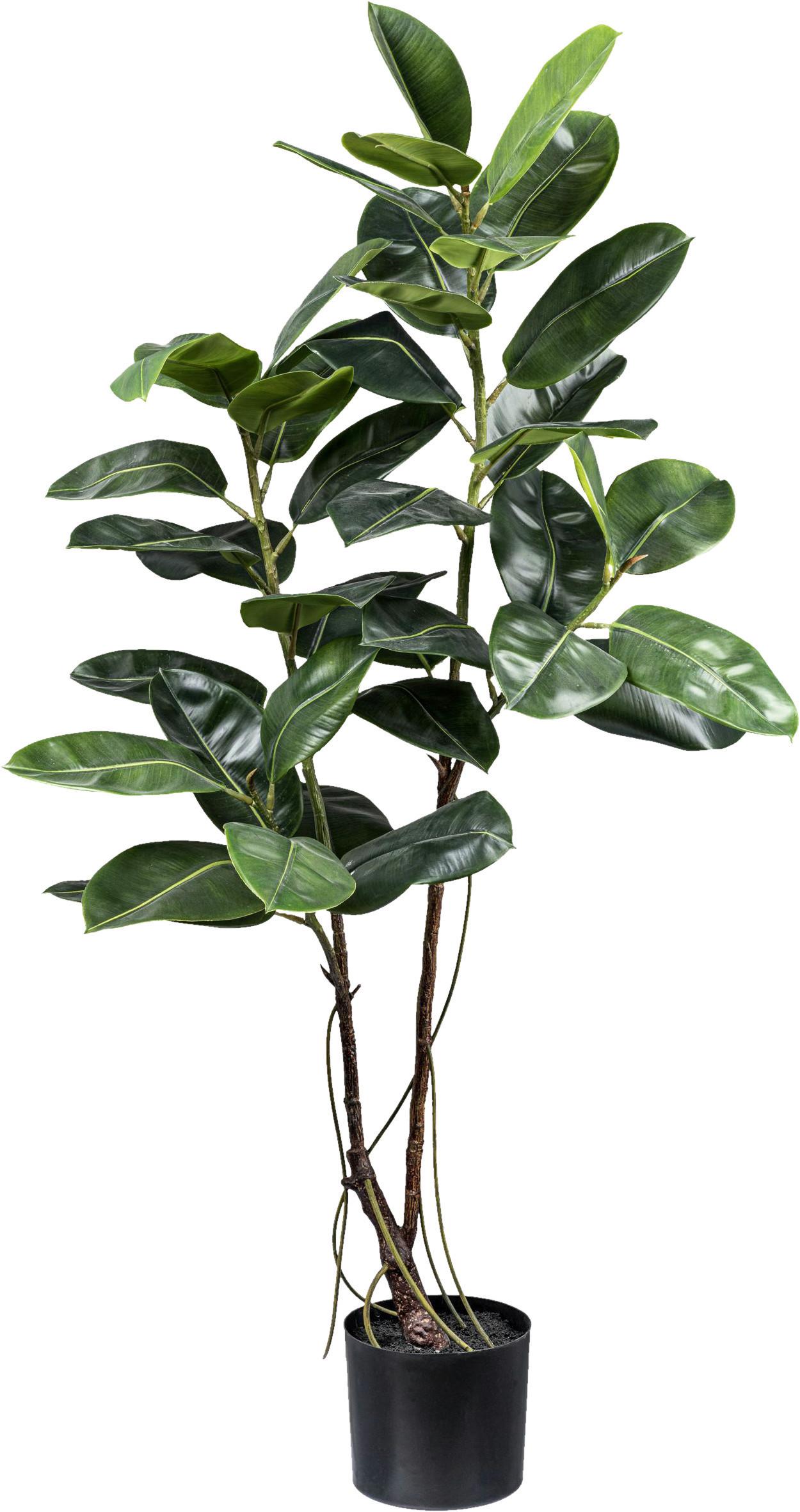 Kunstpflanze H: 150 cm - Schwarz/Braun, Design, Kunststoff (150cm) - P & B