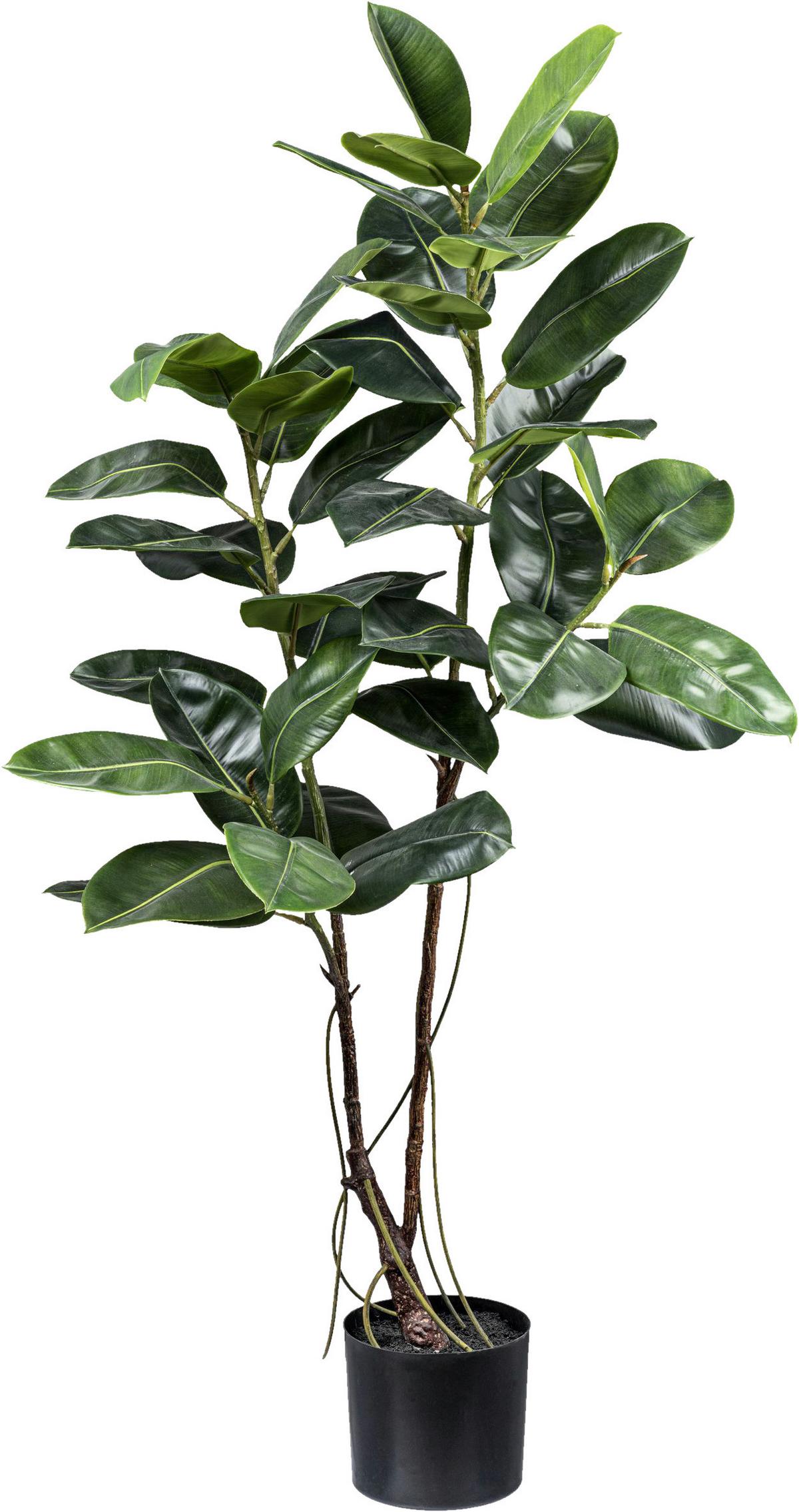 Kunstpflanze H: 150 cm - Schwarz/Braun, Design, Kunststoff (150cm) - P & B