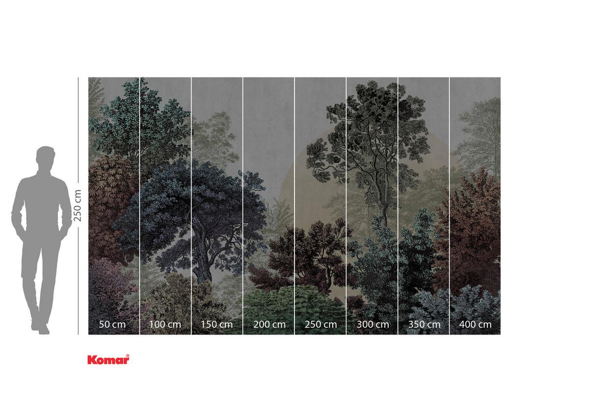 Vliestapete Bois Brumeux - Blau/Weiß, Basics (400/250cm) - Komar