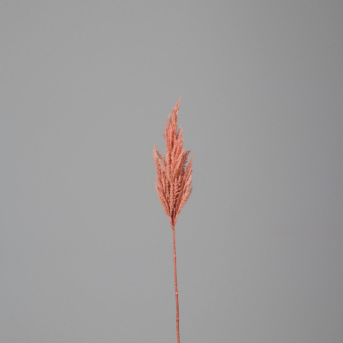 Pampas Wedel rosa - Rosa, MODERN, Kunststoff (83cmcm)