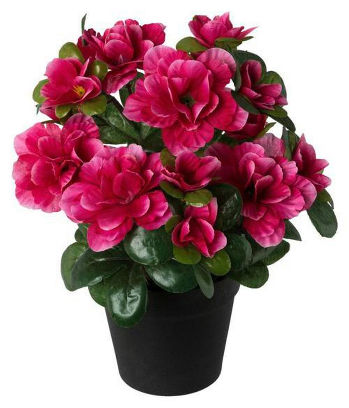 Kunstpflanze Azalee Bunt L: 25 Cm, Ines - Magenta/Rosa, Basics, Kunststoff (25cm)
