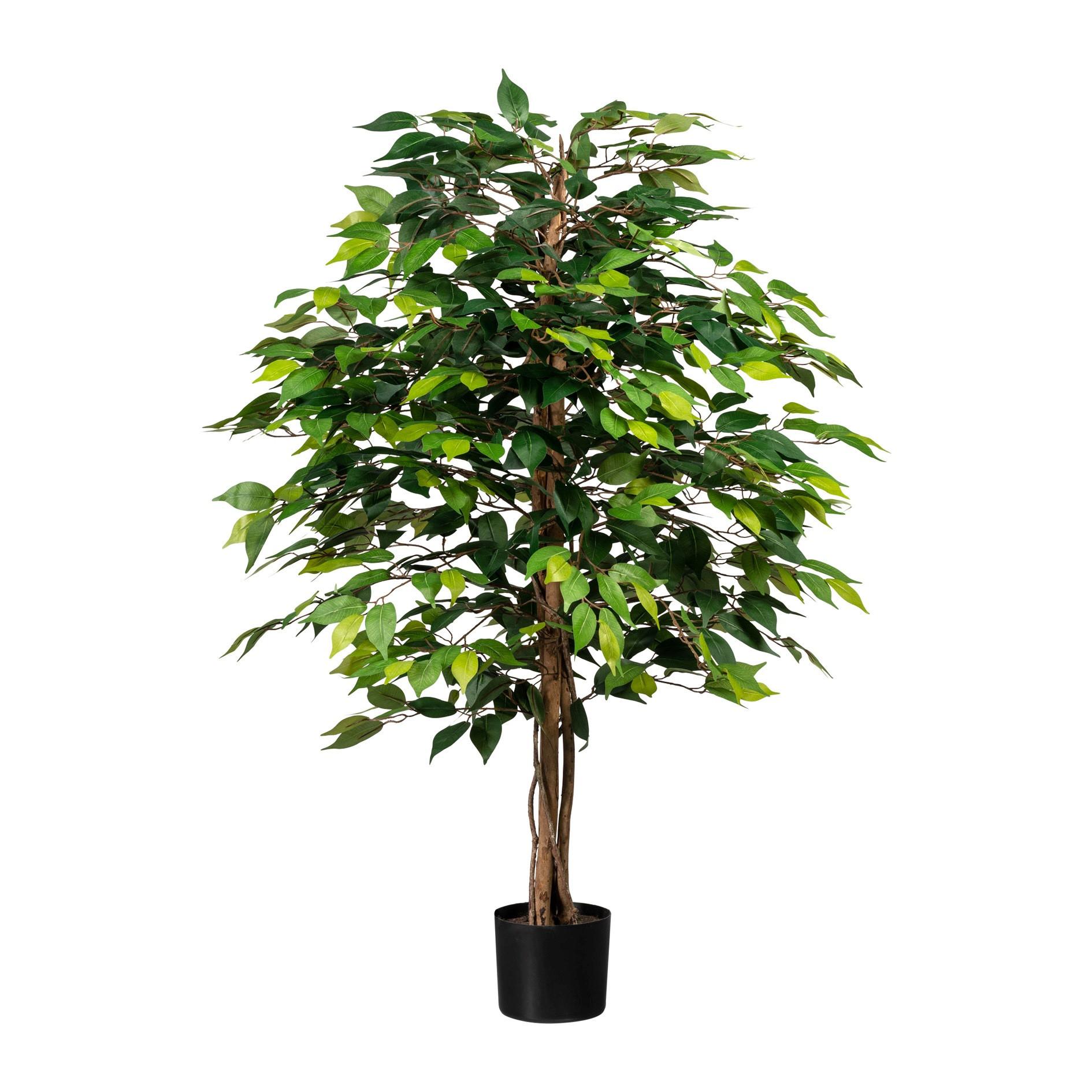 Kunstpflanze Ficus Benjamina H: 120 cm - Schwarz/Braun, Design, Naturmaterialien/Kunststoff (120cm) - P & B