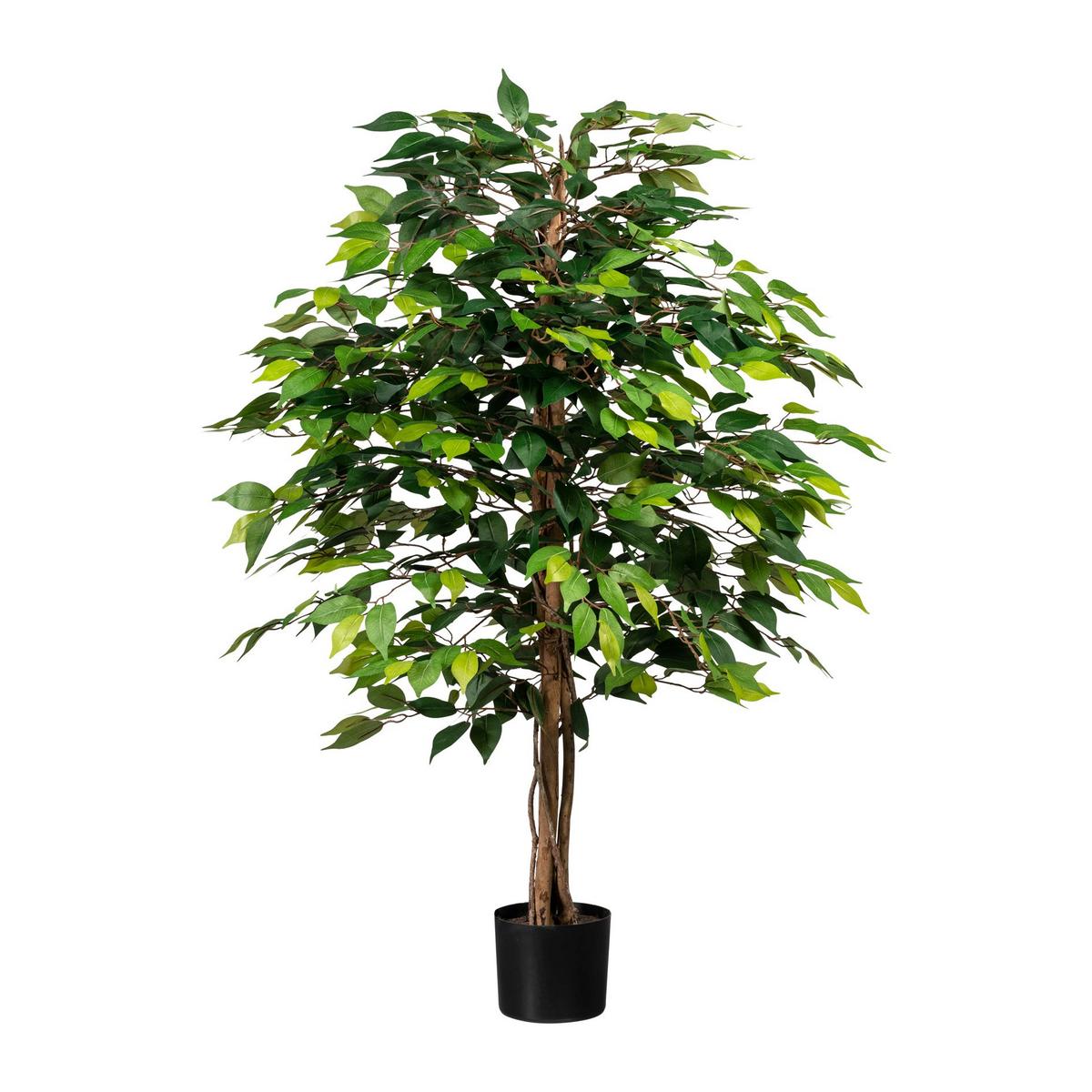 Kunstpflanze Ficus Benjamina H: 120 cm - Schwarz/Braun, Design, Naturmaterialien/Kunststoff (120cm) - P & B
