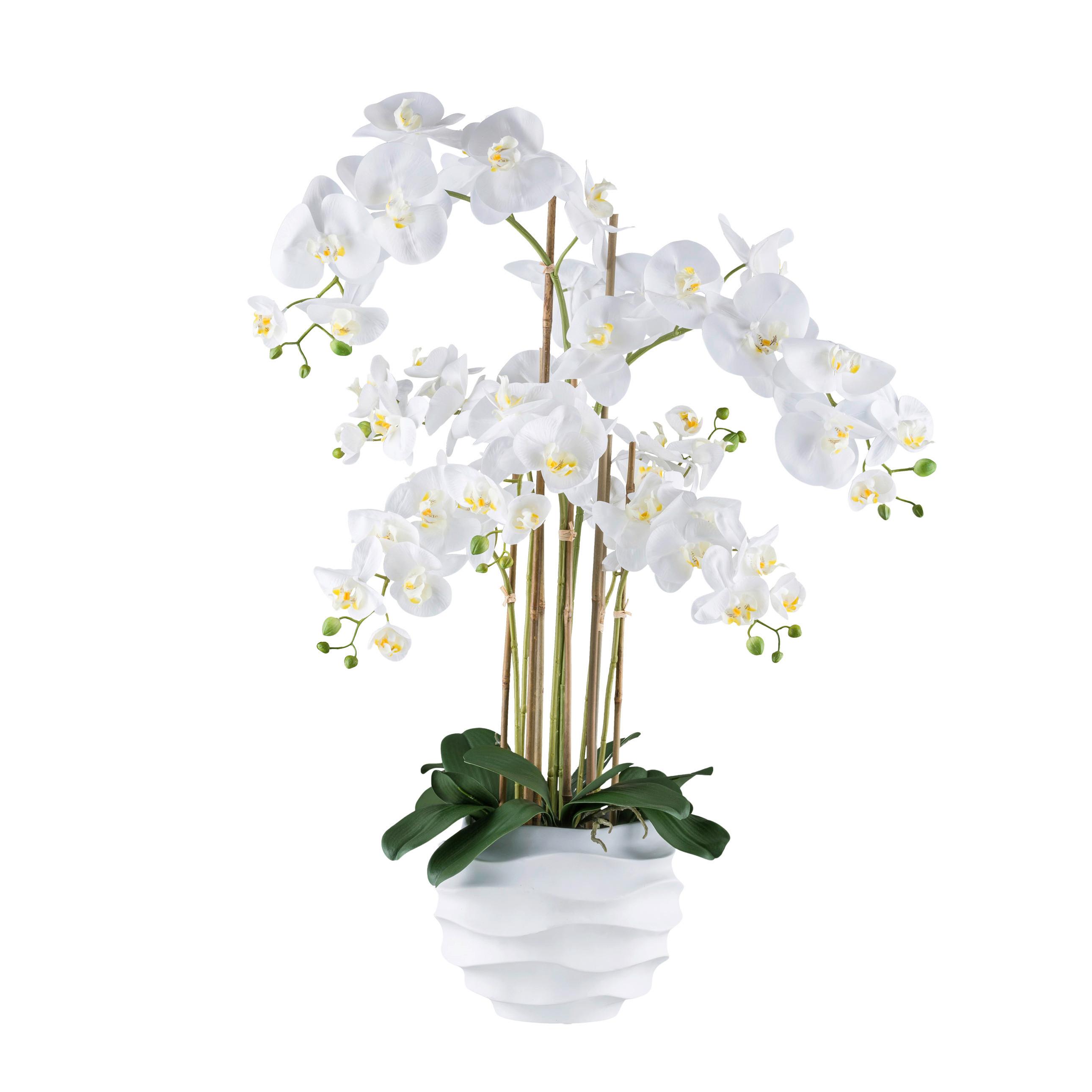 Kunstpflanze Orchideen Weiß, 90 cm - Weiß/Grün, Design, Kunststoff (90cm) - P & B