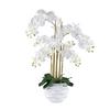 Kunstpflanze Orchideen Weiß, 90 cm - Weiß/Grün, Design, Kunststoff (90cm) - P & B