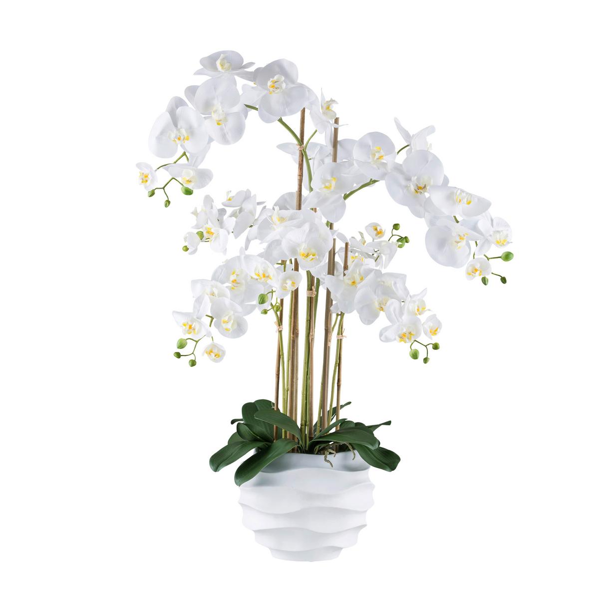 Kunstpflanze Orchideen Weiß, 90 cm - Weiß/Grün, Design, Kunststoff (90cm) - P & B